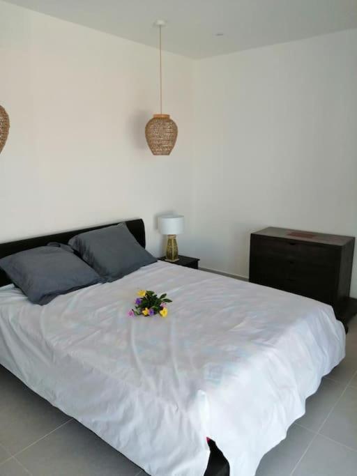 Residence Canne Mapou 2 1 Chambre Saint Pierre Bagian luar foto