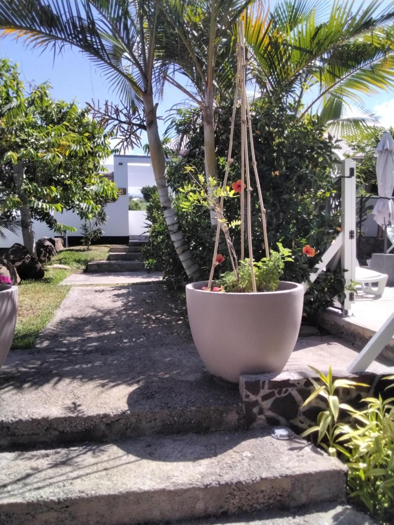 Residence Canne Mapou 2 1 Chambre Saint Pierre Ruang foto